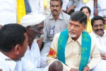 Chandrababu Indefinite Fast Photos - 69 of 83