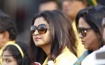 Chennai Rhinos Vs Karnataka Bulldozers Match Photos - 73 of 150
