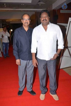 CineMAA awards 2015 Red Carpet - 84 of 89