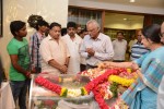 D Ramanaidu Condolences Photos 05 - 138 of 164