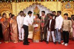 DOP Priyan Daughter Wedding Reception - 31 of 46