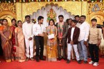 DOP Priyan Daughter Wedding Reception - 33 of 46