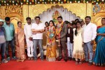 DOP Priyan Daughter Wedding Reception - 46 of 46