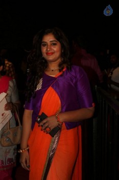 Gemini TV Puraskaralu 2016 Red Carpet 1 - 10 of 84