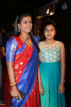 Gemini TV Puraskaralu 2016 Red Carpet 1 - 39 of 84