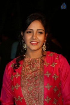 Gemini TV Puraskaralu 2016 Red Carpet 1 - 46 of 84