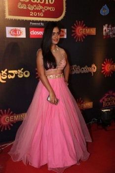 Gemini TV Puraskaralu 2016 Red Carpet 2 - 8 of 62