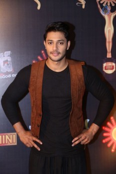 Gemini TV Puraskaralu 2016 Red Carpet 2 - 15 of 62