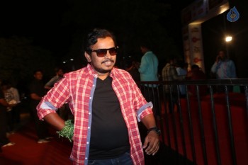 Gemini TV Puraskaralu 2016 Red Carpet 2 - 37 of 62