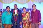 Harinath - Krishnaveni Wedding Reception - 45 of 151