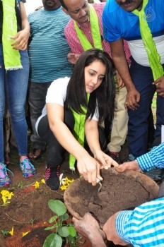 Haritha Haram Event at KBR Park - 33 of 102