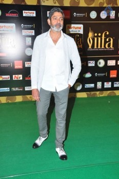 IIFA Utsavam 2016 Photos 1 - 109 of 110