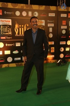 IIFA Utsavam 2016 Photos 3 - 41 of 58