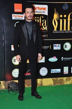 IIFA Utsavam 2016 Photos 4 - 7 of 41