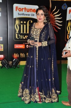 IIFA Utsavam 2016 Photos 4 - 36 of 41