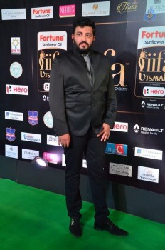 IIFA Utsavam 2017 Awards 2 (Day1) - 56 of 112