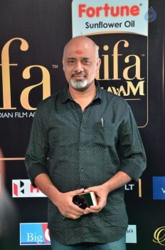 IIFA Utsavam 2017 Awards 2 (Day2) - 70 of 125