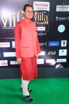 IIFA Utsavam 2017 Awards 3 (Day2) - 60 of 64