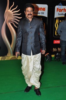 IIFA Utsavam Awards 2016 Photos 3 - 40 of 89