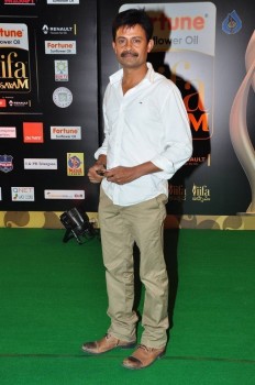 IIFA Utsavam Awards 2016 Photos 3 - 59 of 89