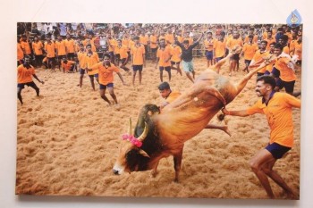 Jallikattu Photo Exhibition Opening - 13 of 23