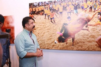 Jallikattu Photo Exhibition Opening - 20 of 23