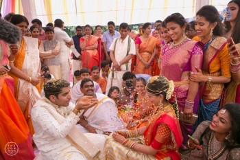 Lahari Manohar Naidu Son Wedding Photos - 58 of 59