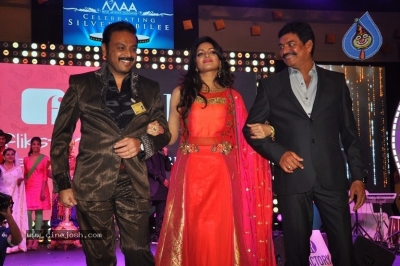 MAA Silver Jubilee Curtain Raiser - 26 of 63