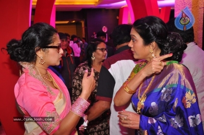 MAA Silver Jubilee Curtain Raiser - 44 of 63