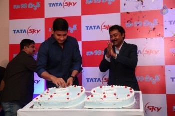 Mahesh Babu at Tata Sky Success Celebrations - 35 of 42