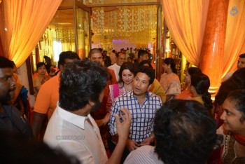 Nimmagadda Prasad Daughter Wedding 1 - 73 of 83