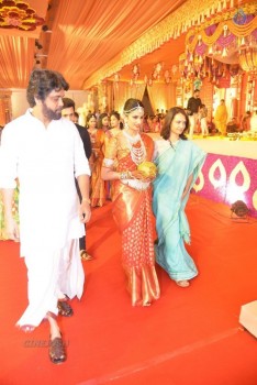 Nimmagadda Prasad Daughter Wedding 1 - 80 of 83