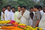 NTR Family Members at NTR Ghat - 218 of 238