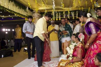 Prabhu Teju and Varsha Wedding Reception Photos - 54 of 58