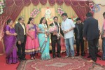 Producer Swaminathan Son Wedding Reception - 57 of 89