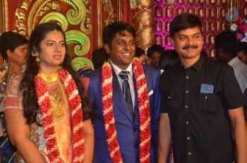 Producer Vinoth Kumar and Sindhu Wedding Reception - 24 of 42