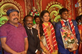 Producer Vinoth Kumar and Sindhu Wedding Reception - 29 of 42
