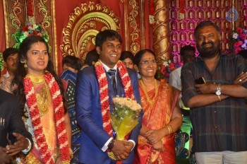 Producer Vinoth Kumar and Sindhu Wedding Reception - 34 of 42
