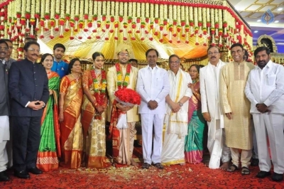 Puskur Rammohan Rao Daughter Wedding Photos - 29 of 47