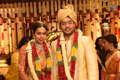 Puskur Rammohan Rao Daughter Wedding Photos - 46 of 47