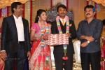 Raj TV MD Daughter Marriage Reception - 48 of 53
