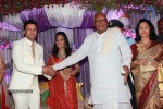 Raja and Amritha Marriage Reception Photos - 44 of 78