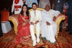 Raja and Amritha Marriage Reception Photos - 45 of 78