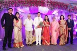Raja and Amritha Marriage Reception Photos - 48 of 78