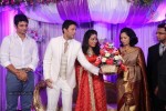 Raja and Amritha Marriage Reception Photos - 53 of 78