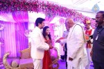 Raja and Amritha Marriage Reception Photos - 66 of 78