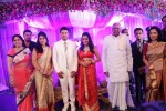 Raja and Amritha Marriage Reception Photos - 67 of 78