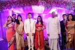 Raja and Amritha Marriage Reception Photos - 71 of 78
