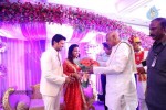 Raja and Amritha Marriage Reception Photos - 73 of 78