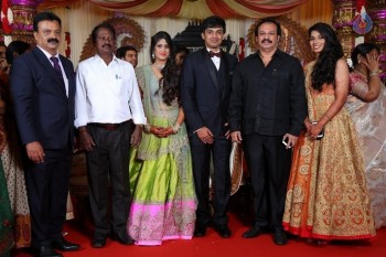 Raviprasad Grand Daughter Wedding Photos - 2 of 34